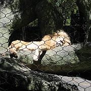 Picture 009